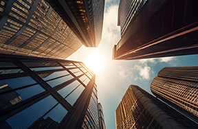 contemplative executive