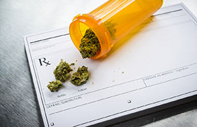 marijuana prescription