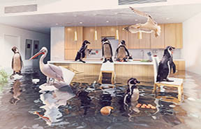 penguins in flooded kitchen